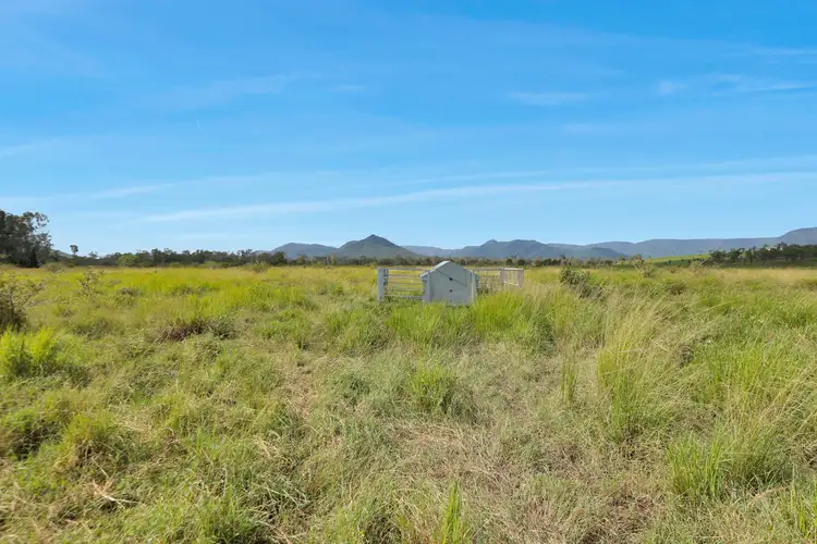 Fifth view of Homely rural property listing, LOT 4 Llewellyn Road, Bloomsbury QLD 4799
