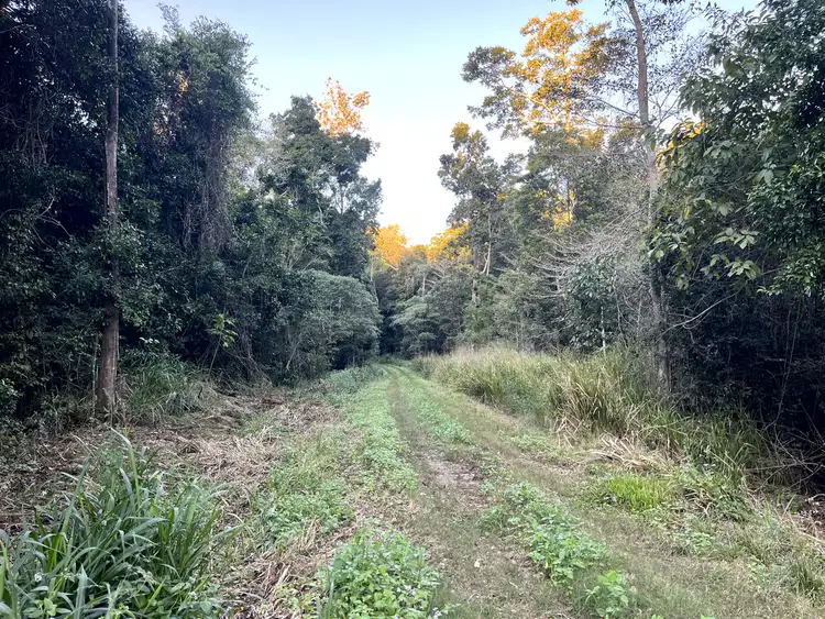 Fifth view of Homely land listing, 514 Dunwoody Road, Ball Bay QLD 4741