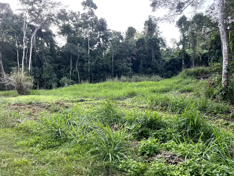 Sixth view of Homely land listing, 514 Dunwoody Road, Ball Bay QLD 4741