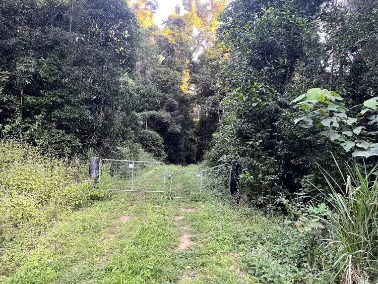 Seventh view of Homely land listing, 514 Dunwoody Road, Ball Bay QLD 4741