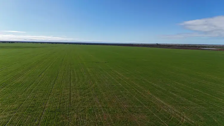 Main view of Homely rural property listing, 697 Solomon Road, Perenjori WA 6620