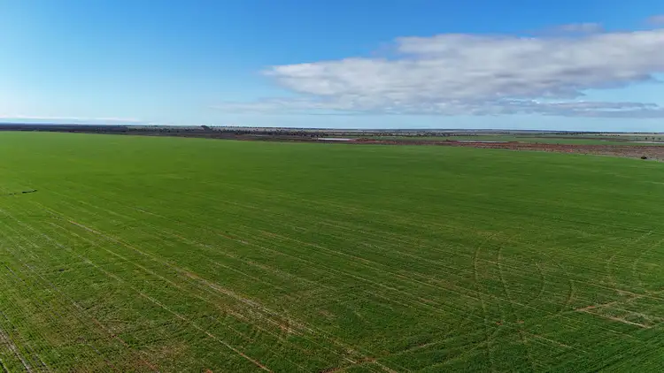 Second view of Homely rural property listing, 697 Solomon Road, Perenjori WA 6620