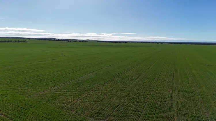 Third view of Homely rural property listing, 697 Solomon Road, Perenjori WA 6620