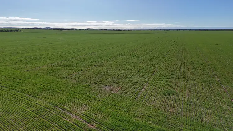 Fourth view of Homely rural property listing, 697 Solomon Road, Perenjori WA 6620