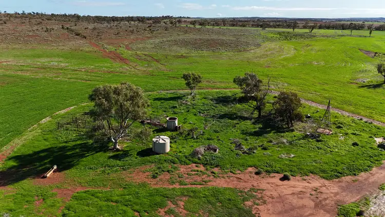 Fifth view of Homely rural property listing, 697 Solomon Road, Perenjori WA 6620