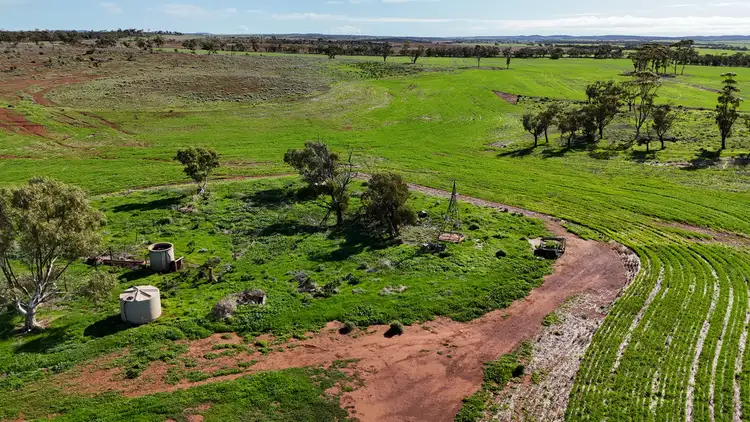 Sixth view of Homely rural property listing, 697 Solomon Road, Perenjori WA 6620