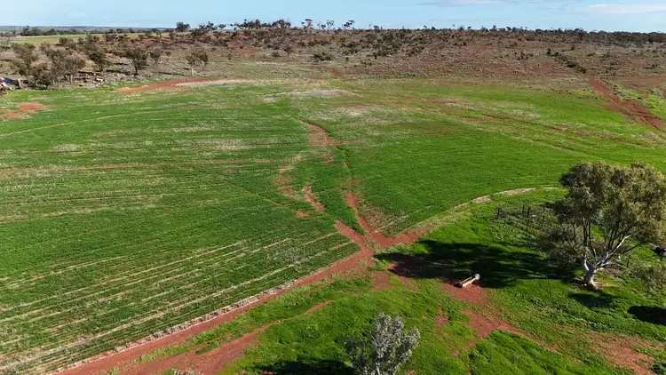 Seventh view of Homely rural property listing, 697 Solomon Road, Perenjori WA 6620