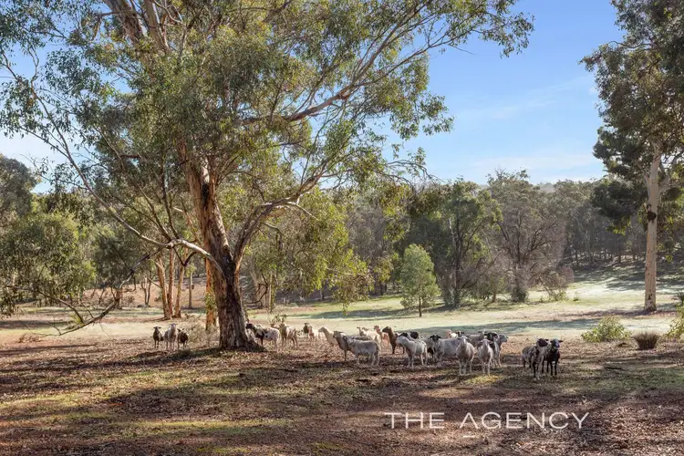 Second view of Homely rural property listing, 2360 Burma Road, Bailup WA 6082