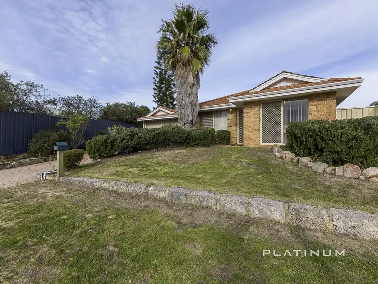Main view of Homely house listing, 8 Albury Laneway, Currambine WA 6028