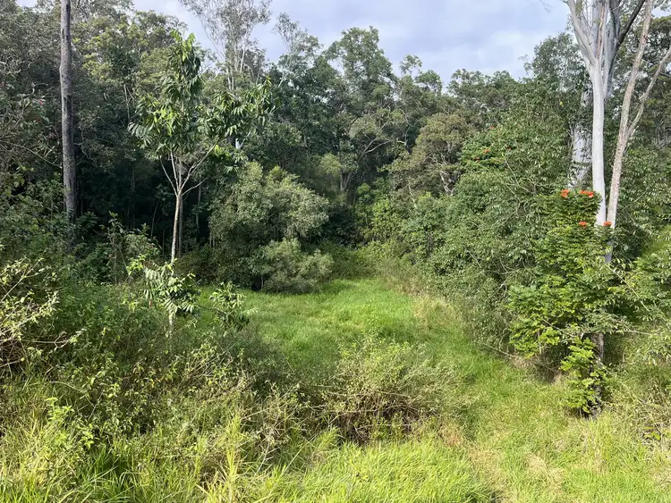 Sixth view of Homely rural property listing, 735 Devereux Creek Road, Devereux Creek QLD 4753