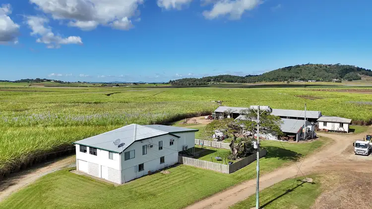 Main view of Homely rural property listing, 1169 Bruce Highway, Farleigh QLD 4741