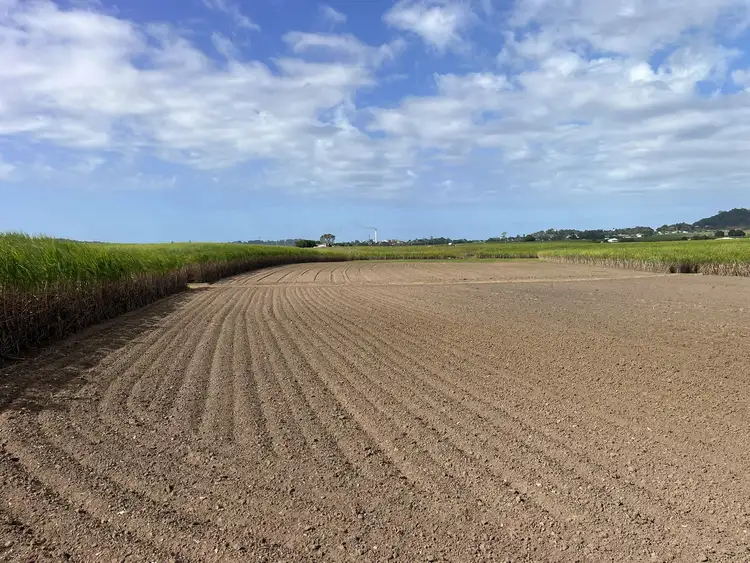 Second view of Homely rural property listing, 1169 Bruce Highway, Farleigh QLD 4741