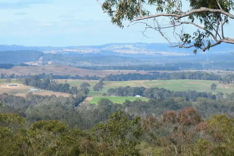 390 Bruxner Road, Drake NSW 2469