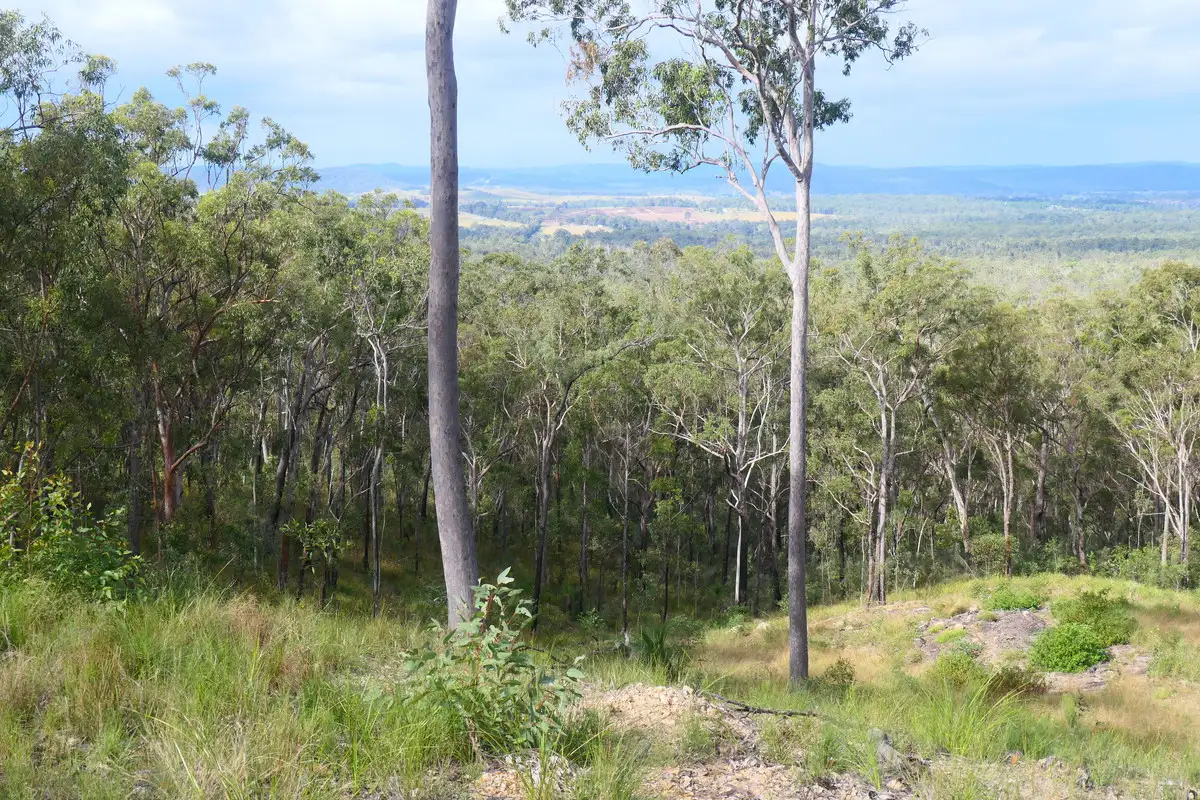 Main view of Homely rural property listing, 390 Bruxner Road, Drake NSW 2469
