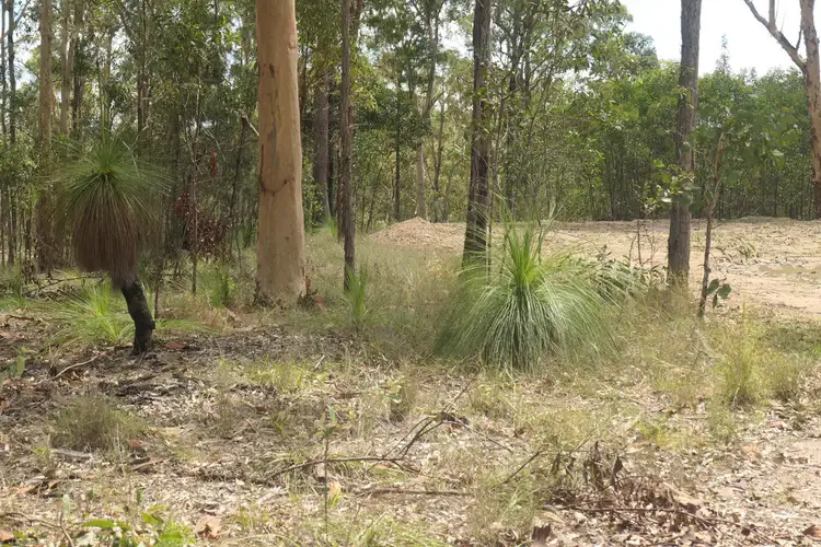 Third view of Homely rural property listing, 390 Bruxner Road, Drake NSW 2469