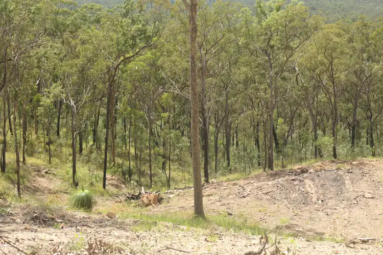Sixth view of Homely rural property listing, 390 Bruxner Road, Drake NSW 2469