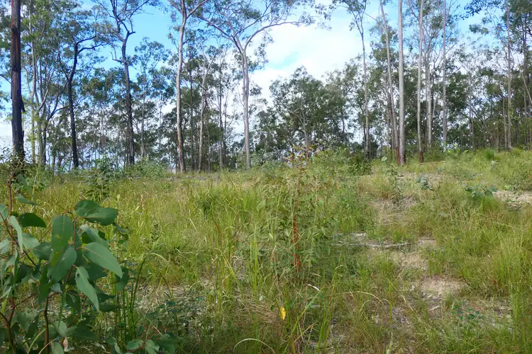 Seventh view of Homely rural property listing, 390 Bruxner Road, Drake NSW 2469