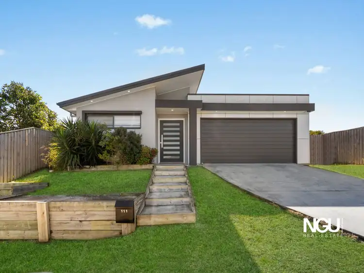 111 Alawoona Street, Redbank Plains QLD 4301