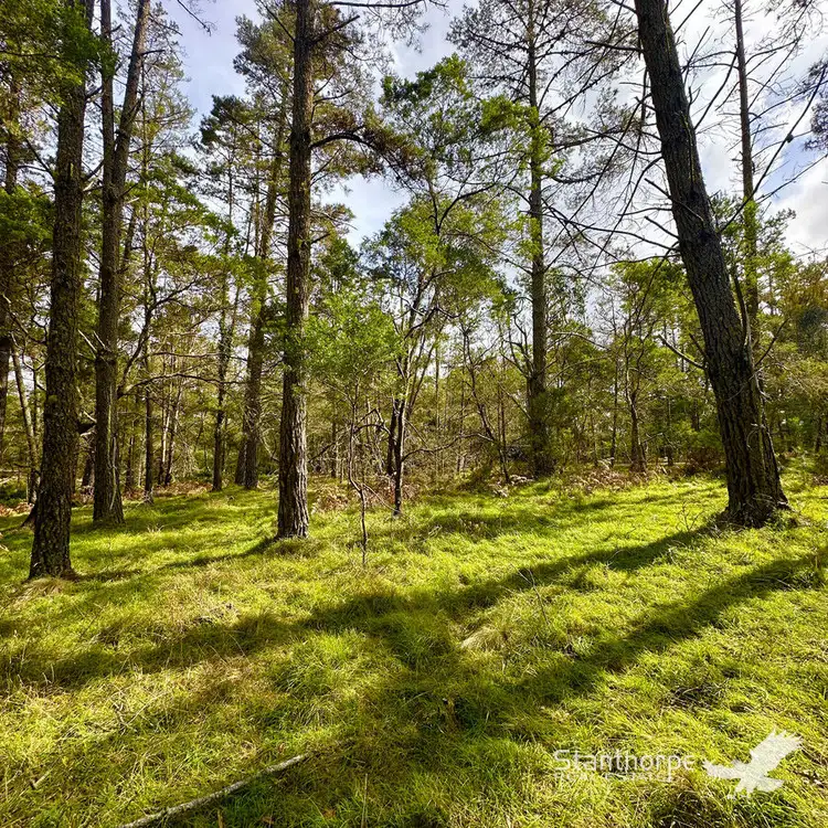 LOT 157 Blackbutt Road, Sugarloaf QLD 4380
