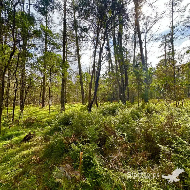 Seventh view of Homely land listing, LOT 157 Blackbutt Road, Sugarloaf QLD 4380