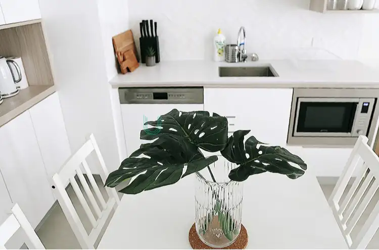 Fourth view of Homely apartment listing, Level 7/17 Lachlan Street, Waterloo NSW 2017