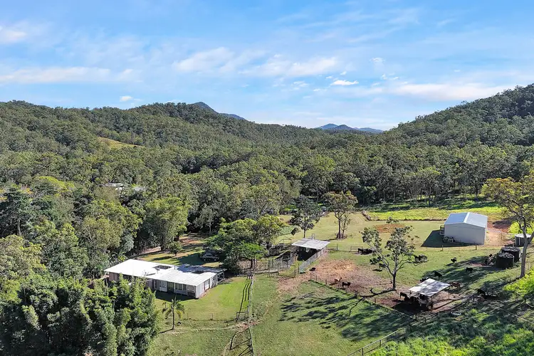 Third view of Homely rural property listing, 337 Cathu O'connell River Road, Yalboroo QLD 4741