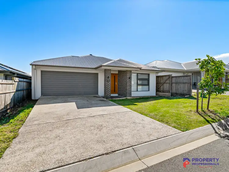 47 Macadamia Street, Redbank Plains QLD 4301