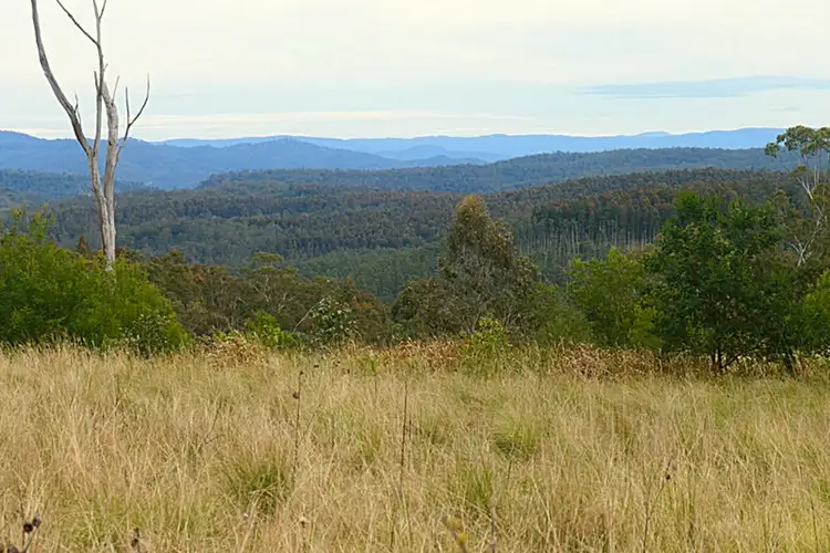 Main view of Homely rural property listing, 3 Hills Gate Forrest Road, Upper Tooloom NSW 2475