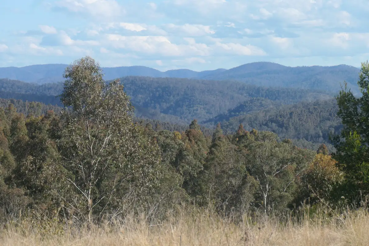 Main view of Homely rural property listing, 3 Hills Gate Forest Road, Upper Tooloom NSW 2475