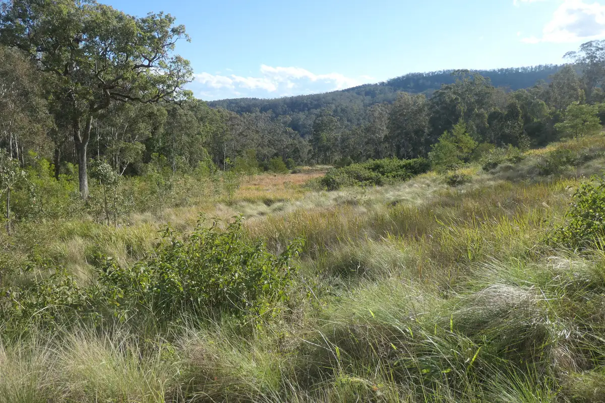 Main view of Homely rural property listing, 3 Hills Gate Forest Road, Upper Tooloom NSW 2475
