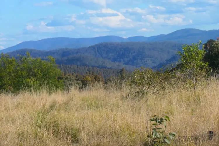 Second view of Homely rural property listing, 3 Hills Gate Forest Road, Upper Tooloom NSW 2475