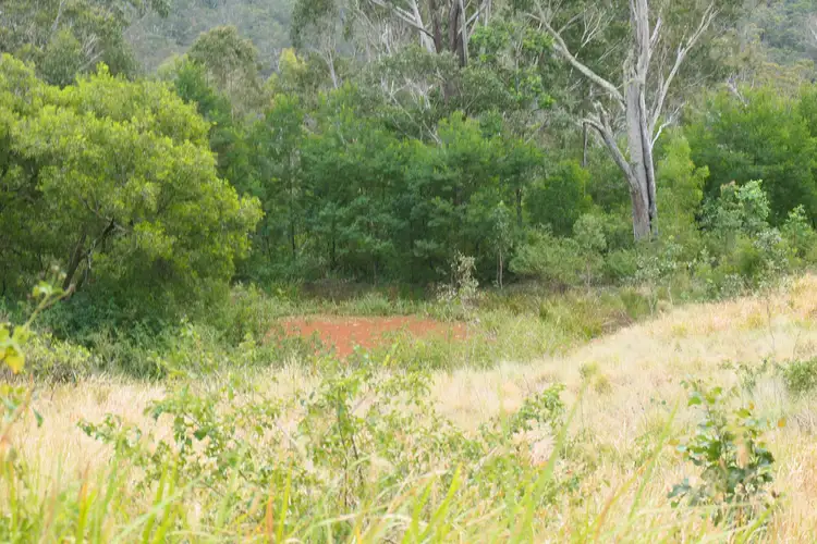 Fourth view of Homely rural property listing, 3 Hills Gate Forrest Road, Upper Tooloom NSW 2475