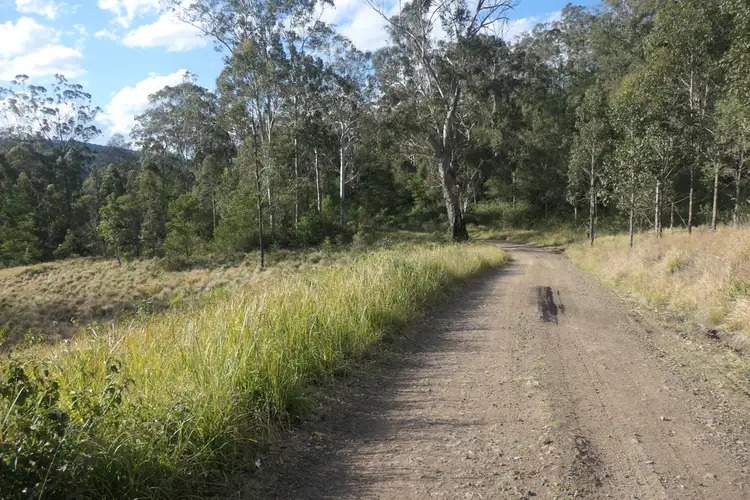 Fourth view of Homely rural property listing, 3 Hills Gate Forest Road, Upper Tooloom NSW 2475