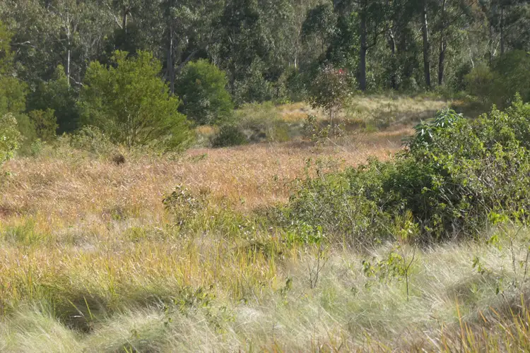 Sixth view of Homely rural property listing, 3 Hills Gate Forest Road, Upper Tooloom NSW 2475