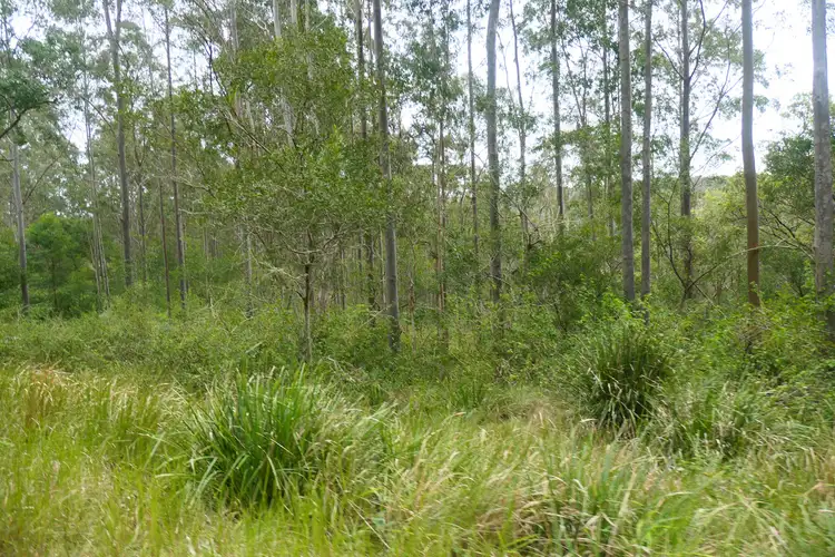 Sixth view of Homely rural property listing, 3 Hills Gate Forest Road, Upper Tooloom NSW 2475