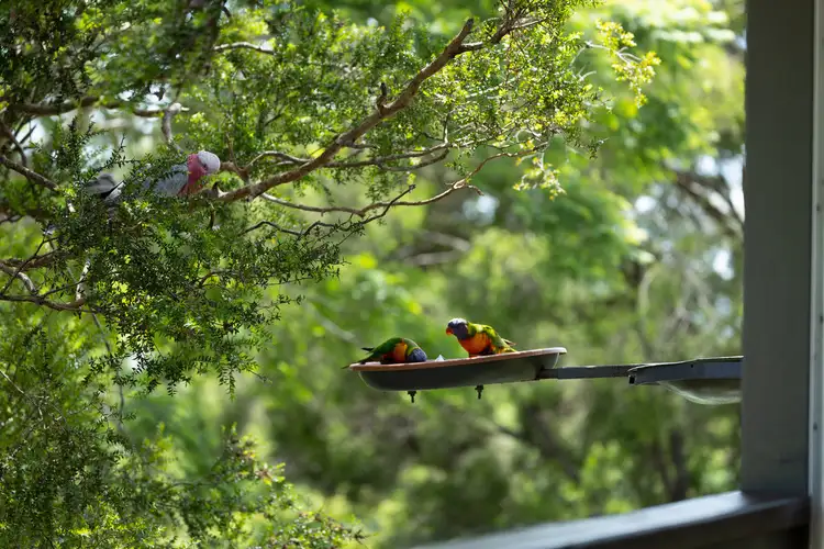 Sixth view of Homely house listing, 4 Wendy Court, Mount Lofty QLD 4350