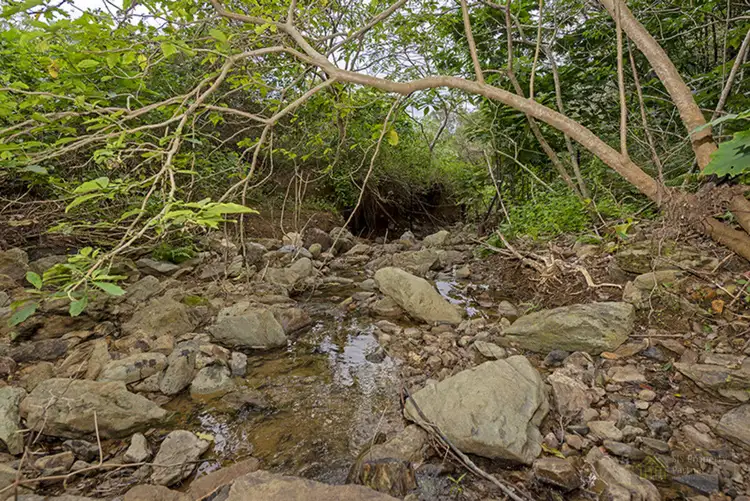 43 Rowe Lane, Cedar Creek QLD 4207