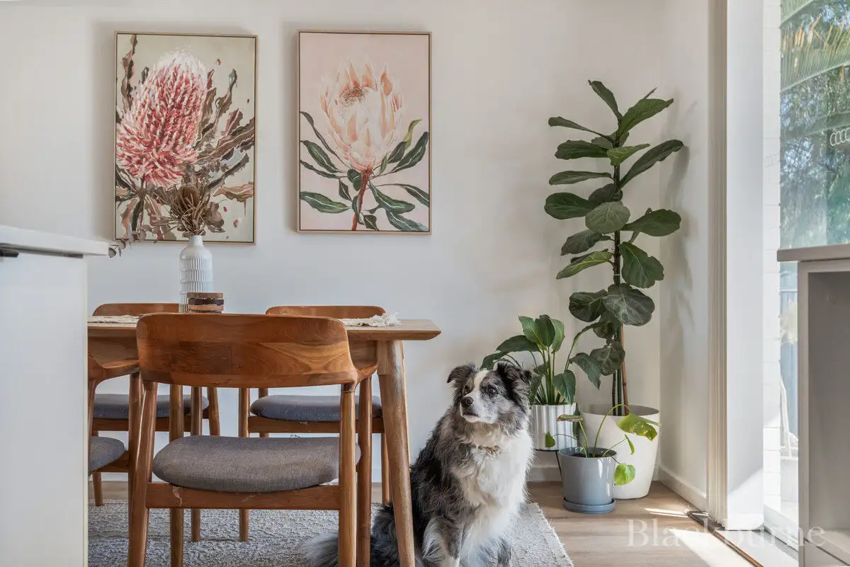 Main view of Homely house listing, 21A Langworth Road, Balcatta WA 6021