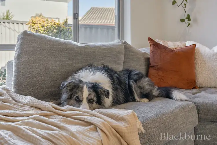 Sixth view of Homely house listing, 21A Langworth Road, Balcatta WA 6021