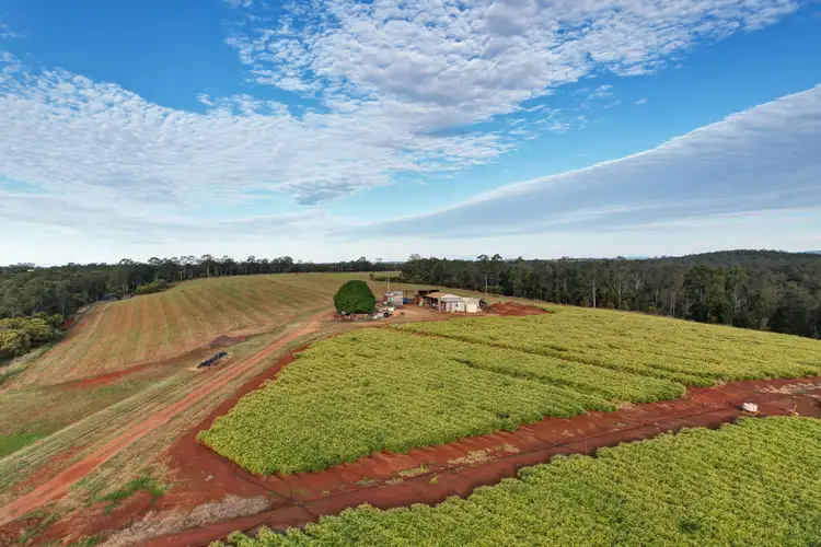 63 Griggs Road, Eureka QLD 4660