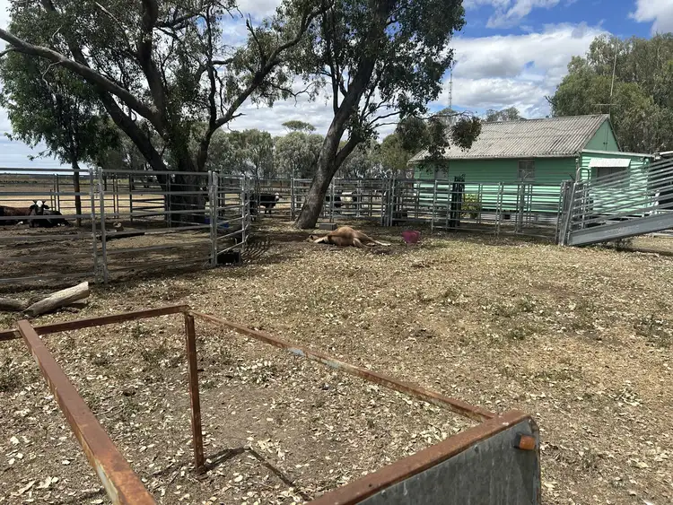 Fifth view of Homely rural property listing, LOT 1, 370 Ducklo School Road, Ducklo QLD 4405