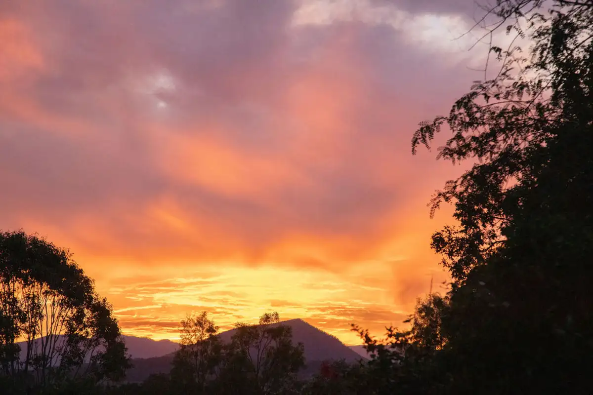 Main view of Homely house listing, 853 Boonah-Rathdowney Road, Wallaces Creek QLD 4310