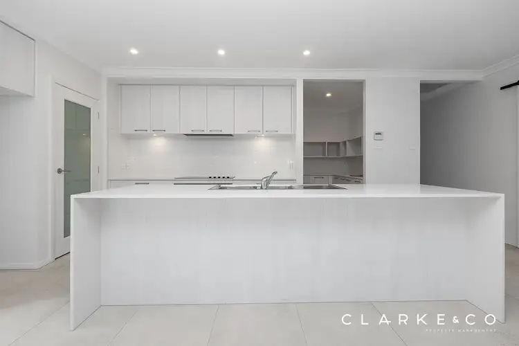 Second view of Homely house listing, 35 Ellipse Circuit, Chisholm NSW 2322