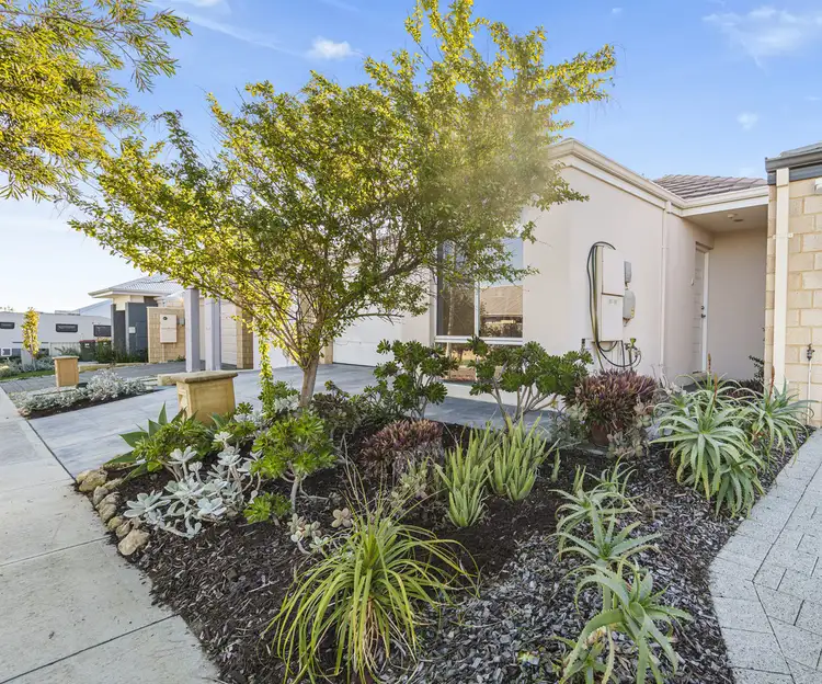 Main view of Homely house listing, 21 Windlass Way, Alkimos WA 6038