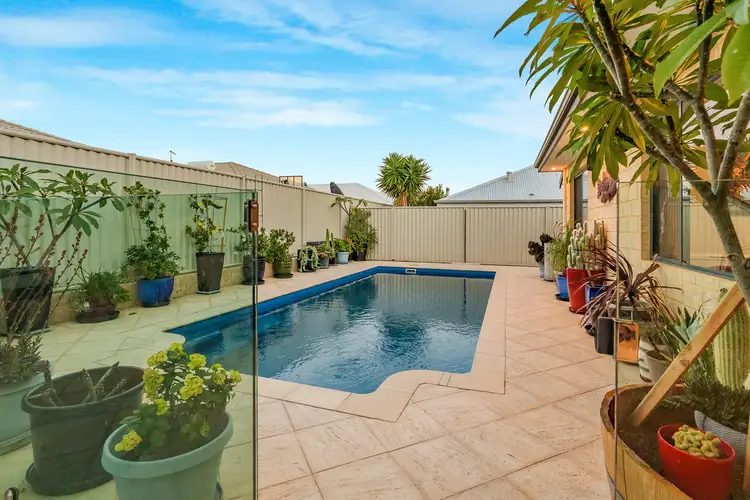 Fourth view of Homely house listing, 21 Chesstree Avenue, Alkimos WA 6038