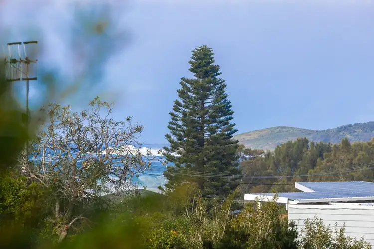 117 Malibu Drive, Bawley Point NSW 2539