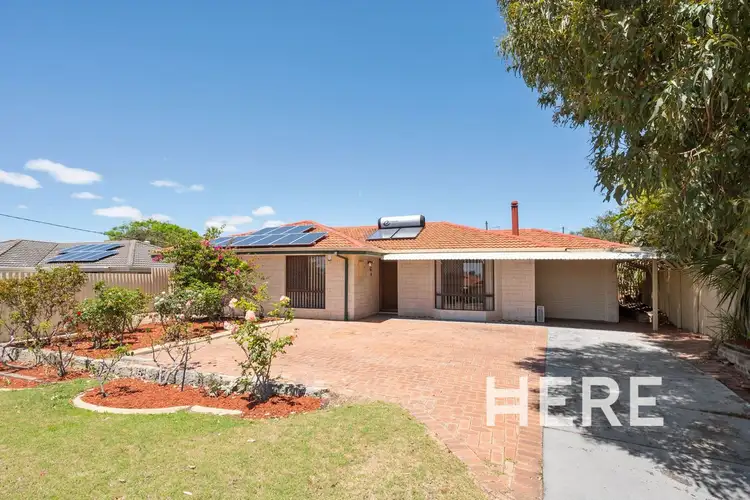 Main view of Homely house listing, 129 Warrandyte Drive, Craigie WA 6025