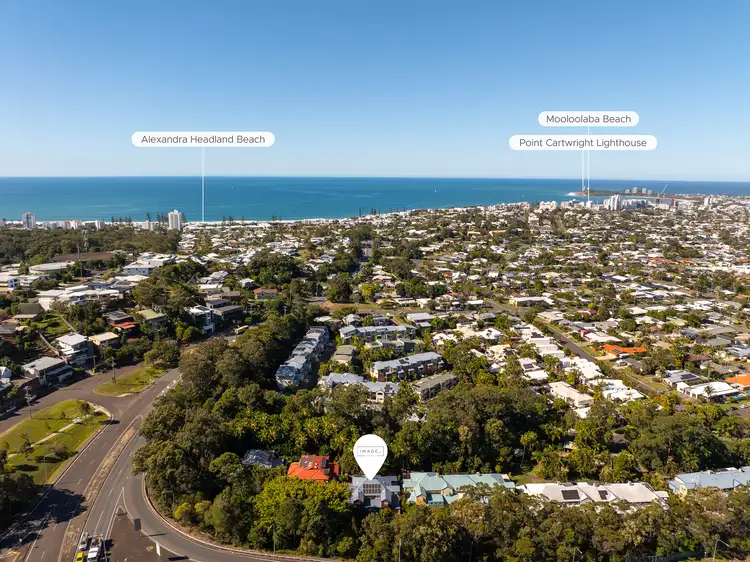 62/1 Poinsettia Court, Mooloolaba QLD 4557