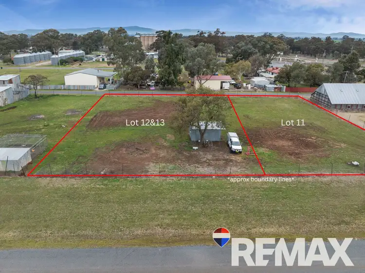 LOT 12 & 13, 17 Commins Street, Illabo NSW 2590