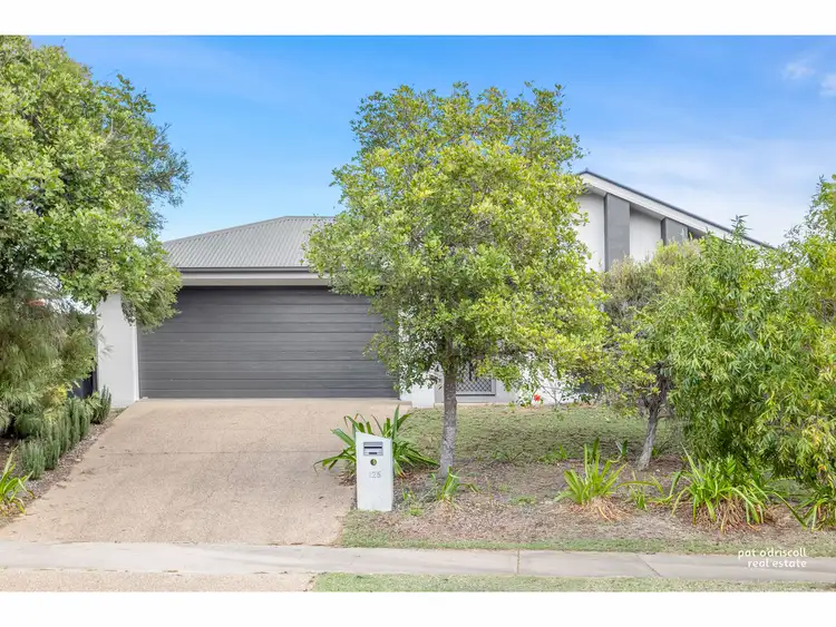 125 Springfield Drive, Norman Gardens QLD 4701